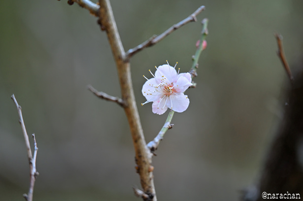 DSC_5821_00002.JPG