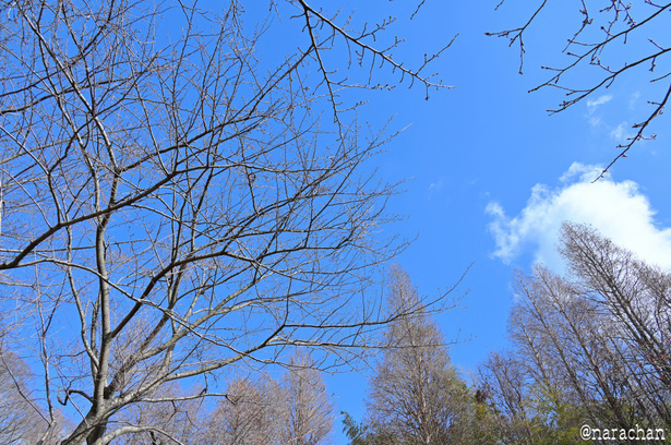 DSC_5823_00004.JPG