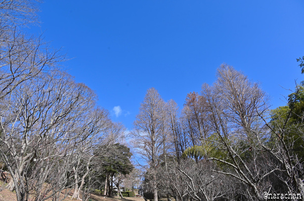 DSC_5825_00006.JPG