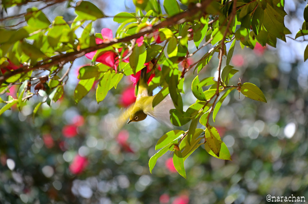 DSC_5844_00014.JPG