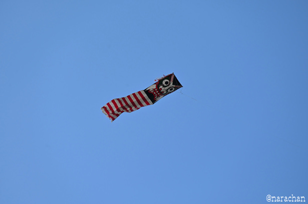 DSC_5858_00022.JPG