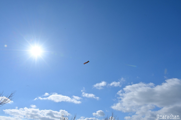 DSC_5860_00024.JPG