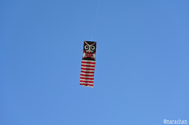 DSC_5861_00025.JPG