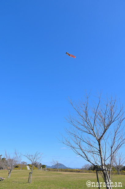 DSC_5862_00026.JPG