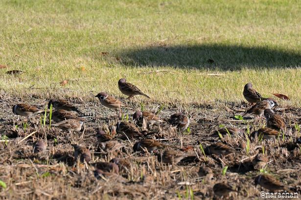 DSC_6102.JPG