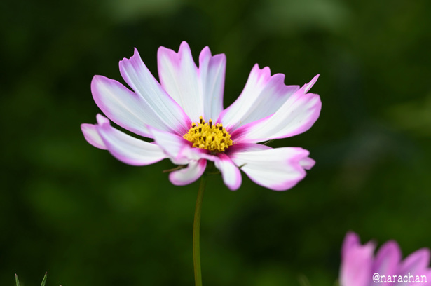 DSC_6277.JPG