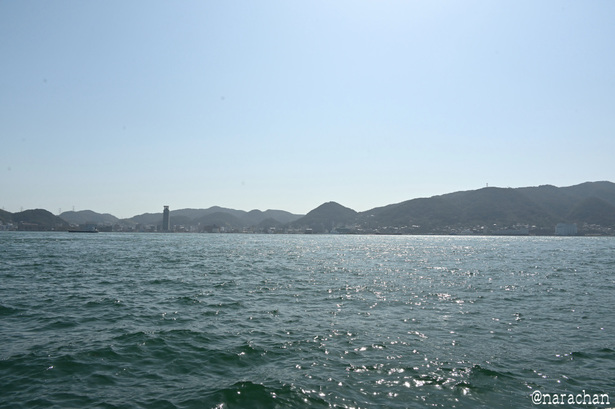 DSC_6482.JPG