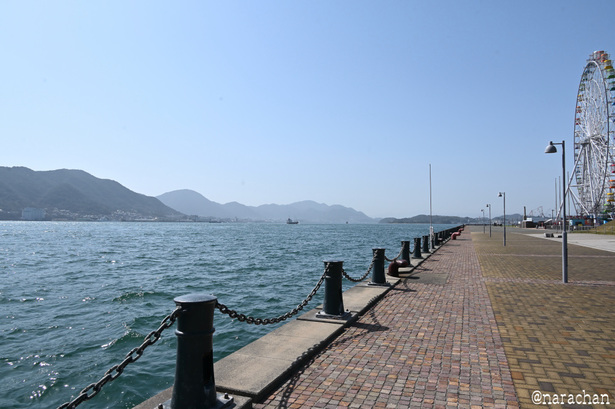 DSC_6485.JPG