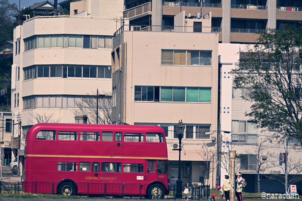 DSC_6495.JPG
