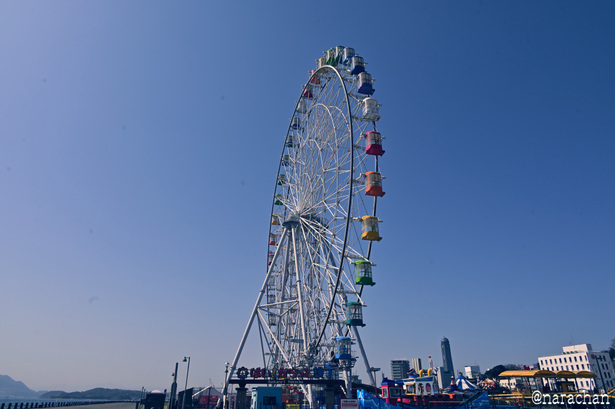 DSC_6496.JPG