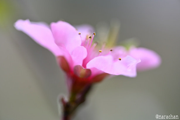 DSC_6507.JPG