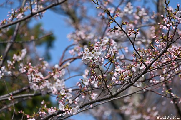 DSC_6536.JPG