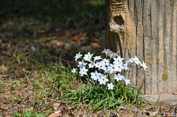 DSC_6541.JPG