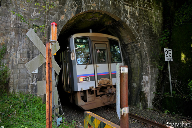 DSC_7475.JPG