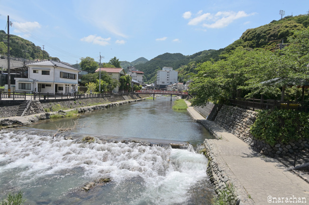 DSC_7488.JPG