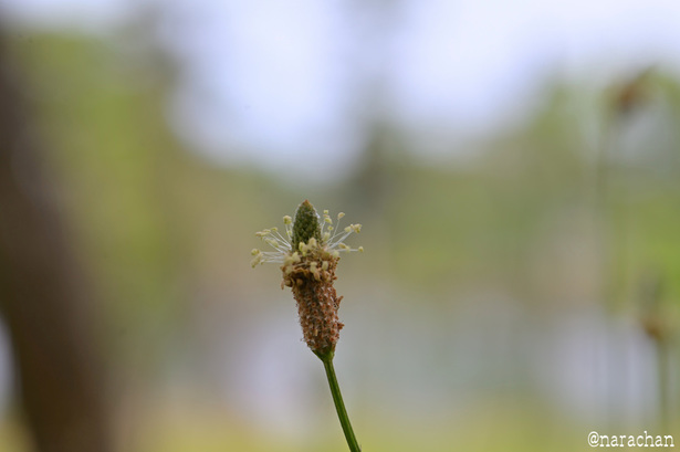 DSC_7751.JPG