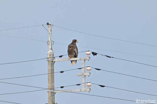 DSC_7761.JPG
