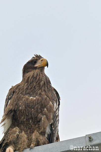 DSC_7828.JPG