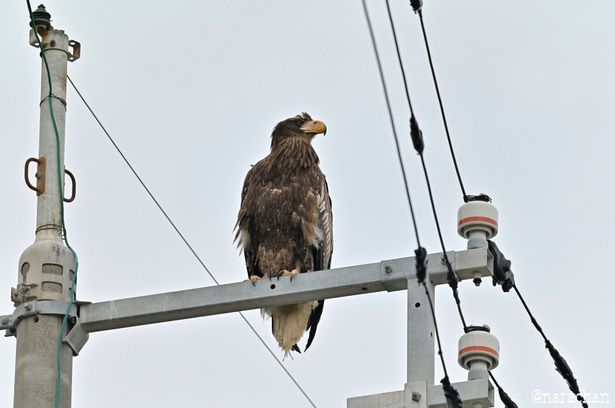 DSC_7884.JPG