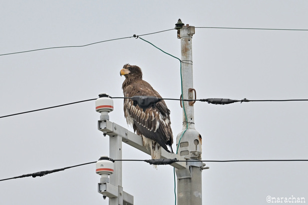 DSC_7891.JPG