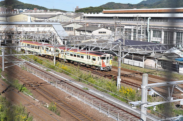 DSC_8042.JPG