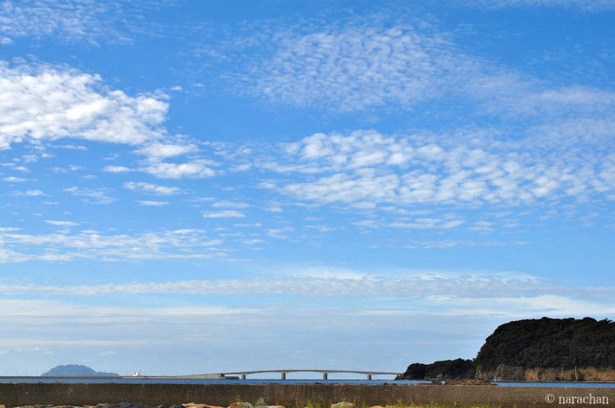 DSC_8071.JPG