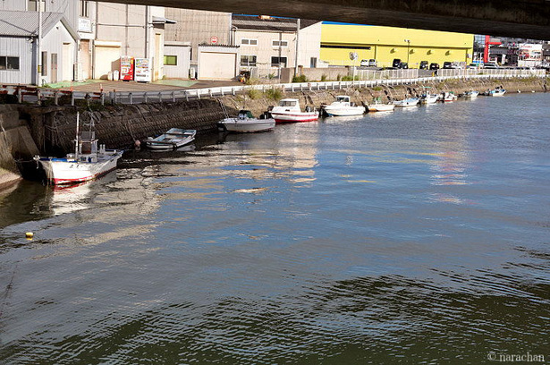 DSC_8079.JPG