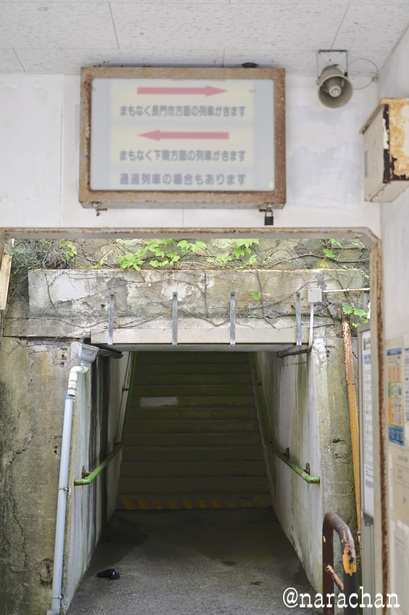 DSC_8217.JPG