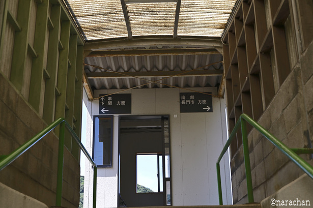 DSC_8221.JPG