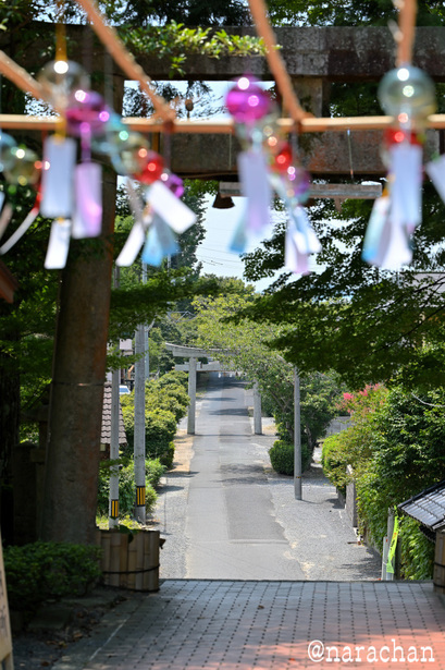 DSC_8303.JPG