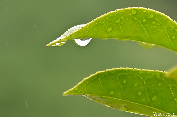 DSC_8504.JPG