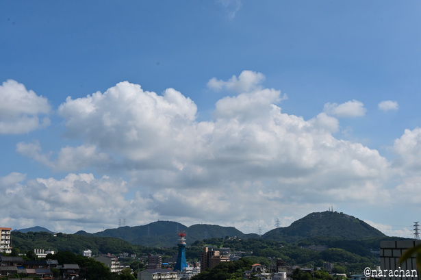 DSC_8649.JPG