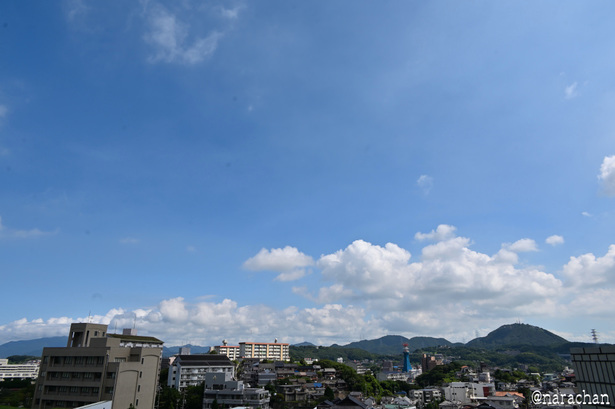 DSC_8650.JPG