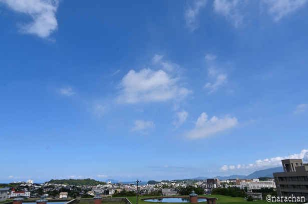 DSC_8651.JPG