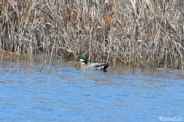 DSC_8898.JPG