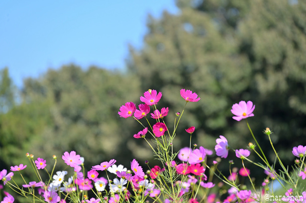 DSC_8927.JPG