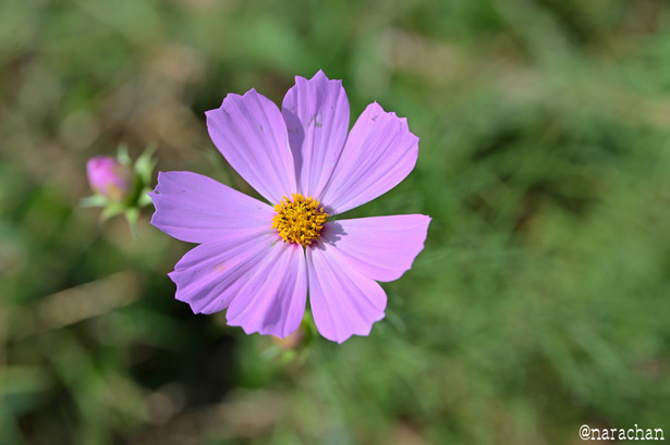DSC_8941.JPG