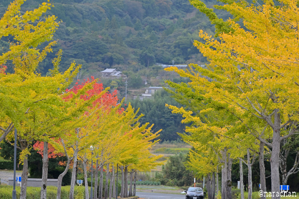 DSC_9967.JPG