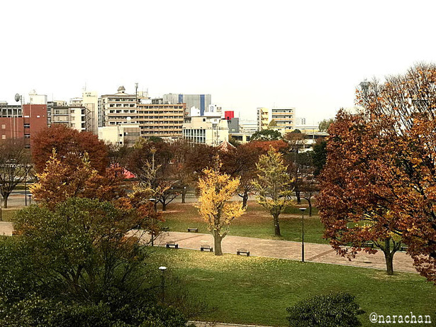 IMG_2407.JPG