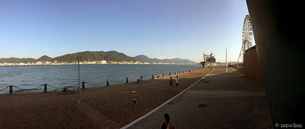 IMG_5305.JPG