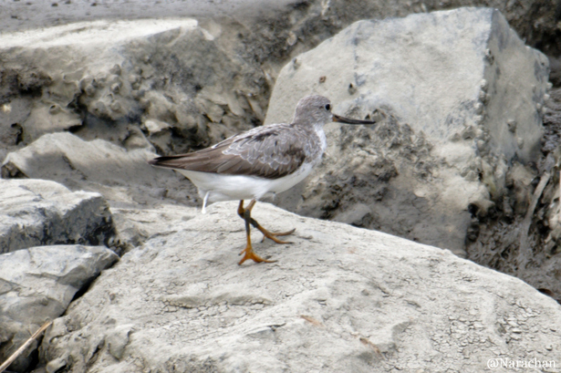 ZZ9_0457_DxO.JPG