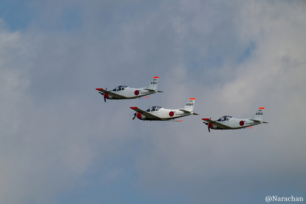 ZZ9_2199_DxO.JPG