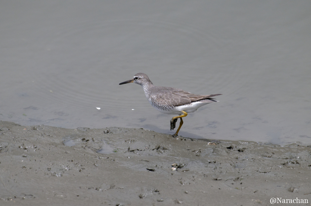 ZZ9_5550_DxO.jpg