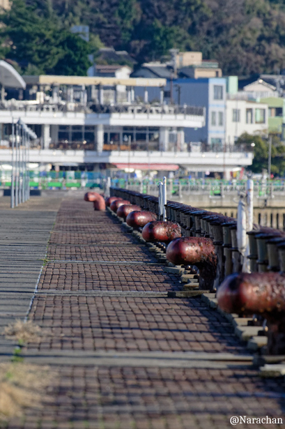 ZZ9_8348_DxO.JPG